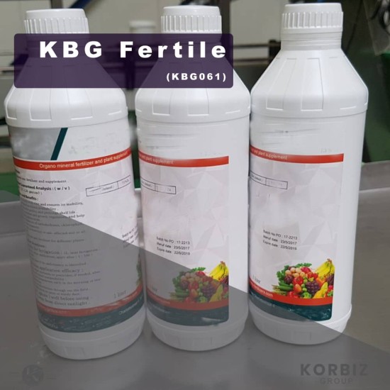 KBG Fertile (KBG061)